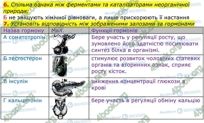 ГДЗ Біологія 10 клас сторінка В2 (6-7)